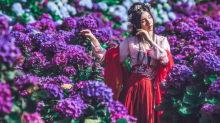 Red dress purple flower field - her side free wallpaper