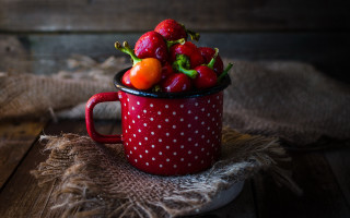Red cup fruit burlap still - betty merken free wallpaper