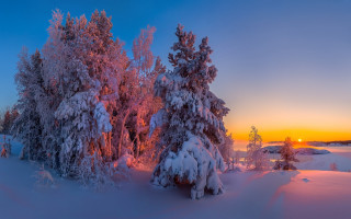 Sunset snowy trees blue sky - a sunset in the distance free wallpaper