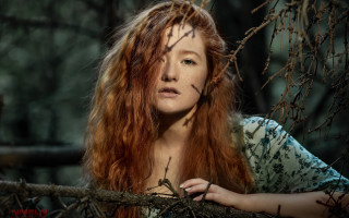 Redhair woman fence branches pre - pre free wallpaper