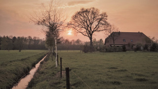 House field stream sunset bush - evening free wallpaper