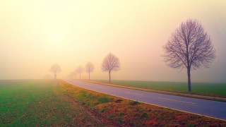 Foggy road trees beach sunset - the foggy day free wallpaper