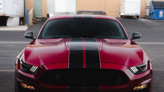 Red mustang black stripe front - f1.4 free wallpaper