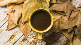 Coffee leaves phone autumn realistic - the table next free wallpaper