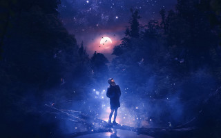 Forest moon night stars fireflies - firefly free wallpaper