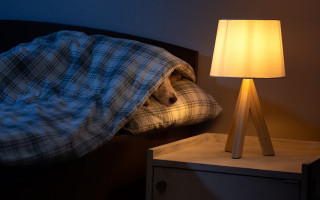 Bed lamp pillow plaid blanket - diffuse lighting free wallpaper for desktop