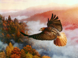 Bird flying forest trees fog - matte fantasy painting free wallpaper