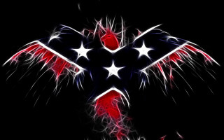 Red white blue bird wings - digital artwork free wallpaper