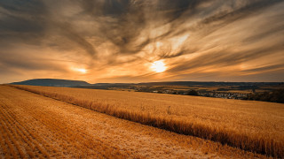 Sunset dirt road field cloudy - a dirt road in the middle of it free wallpaper
