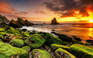 Sunset rocky beach moss water 4 - the rock and water free wallpaper