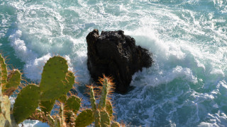 Rock cactus wave ocean landscape - a rock in the ocean free wallpaper