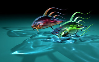 Colorful fish floating water black - lostfish free wallpaper for desktop