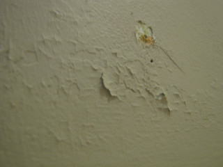 Peeling paint white wall brown - paint free wallpaper