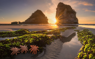 Beach rocks seaweed sunset landscape - a few rock free wallpaper