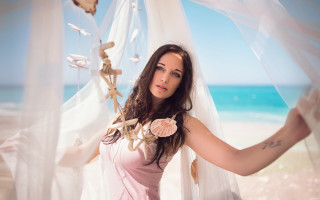 Pink dress beach shell starfish - a starfish free wallpaper