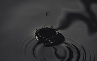 Water droplet black white monochrome - a water droplet free wallpaper