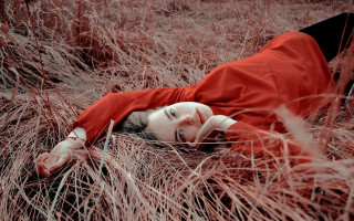 Woman red dress birdcage blood - black shoe free wallpaper for desktop