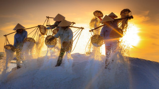 People baskets water hands sunset - their hands in free wallpaper