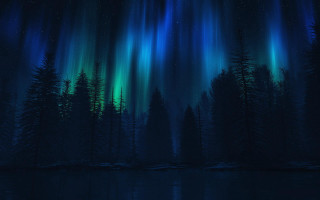 Aurora moon trees night sky - a night scene free wallpaper