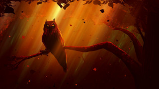 Owl forest sunset blood fire - sunbeam free wallpaper