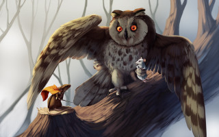 Orange eyes bird on branch - orange eye free wallpaper