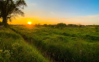 Autumn sunset path tree mountains - a tree and a sunset in the background free wallpaper