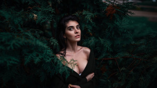 Woman black dress tree portrait - a portrait free wallpaper for desktop