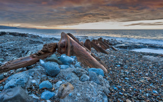 Beach rocks driftwood sunset cloudy - moody free wallpaper