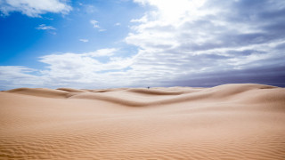 Desert sandscape clouds trees ocean - sandy free wallpaper for desktop