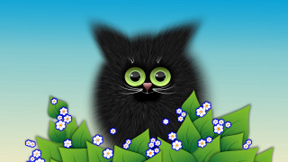 Black cat green eyes flower 2 - flowery free wallpaper for desktop