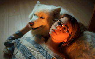 Woman dog glasses romantic shiba - glass and a sweater free wallpaper