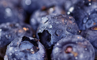 Blueberries water droplets macro bokeh - a few drop of water free wallpaper