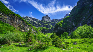 Mountain valley grassy trees blue - a mountain valley free wallpaper