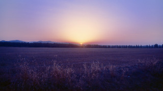 Sunset trees hill night sky - a sunset in the background and trees free wallpaper