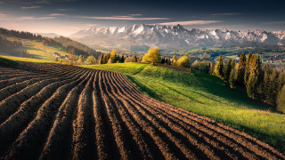 Plowed field mountains sunset sky - field free wallpaper