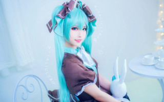 Blue hair bunny ears cosplay - cosplay free wallpaper
