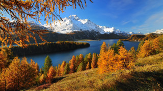 Lake trees mountain clouds autumn - a mountain in the background free wallpaper for desktop