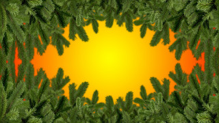 Pine tree yellow center green - a yellow center free wallpaper