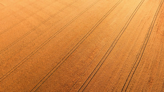 Large field tractor person sky - a large field free wallpaper for desktop