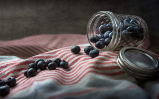Blueberries stilllife striped blanket neo - blanket free wallpaper