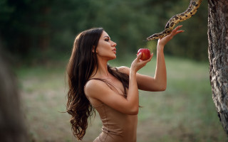 Enchanted forest woman apple snake - a tree in the foreground free wallpaper for desktop