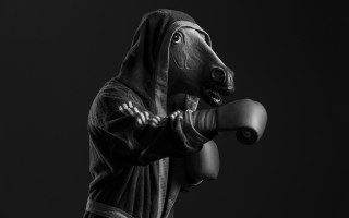 Horse statue robe boxing glove - figurativism free wallpaper