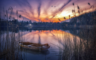 Sunset boat water birds sky - overhead free wallpaper for desktop