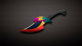 Colorful bird long beak black - the left side of the image free wallpaper