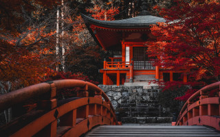 Red bridge park autumn pagoda - red leaf free wallpaper for desktop