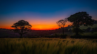 Sunset field trees hill clouds - a sunset over a field free wallpaper