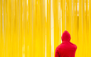 Red hoodie golden curtain abstract - a red hoodie free wallpaper