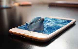 Dolphin jumping water cellphone ocean - a cell phone screen free wallpaper