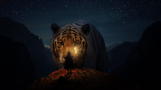 Person tiger night star fantasy - matte fantasy painting free wallpaper for desktop