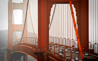 Golden gate fog crane matte - the foggy day free wallpaper